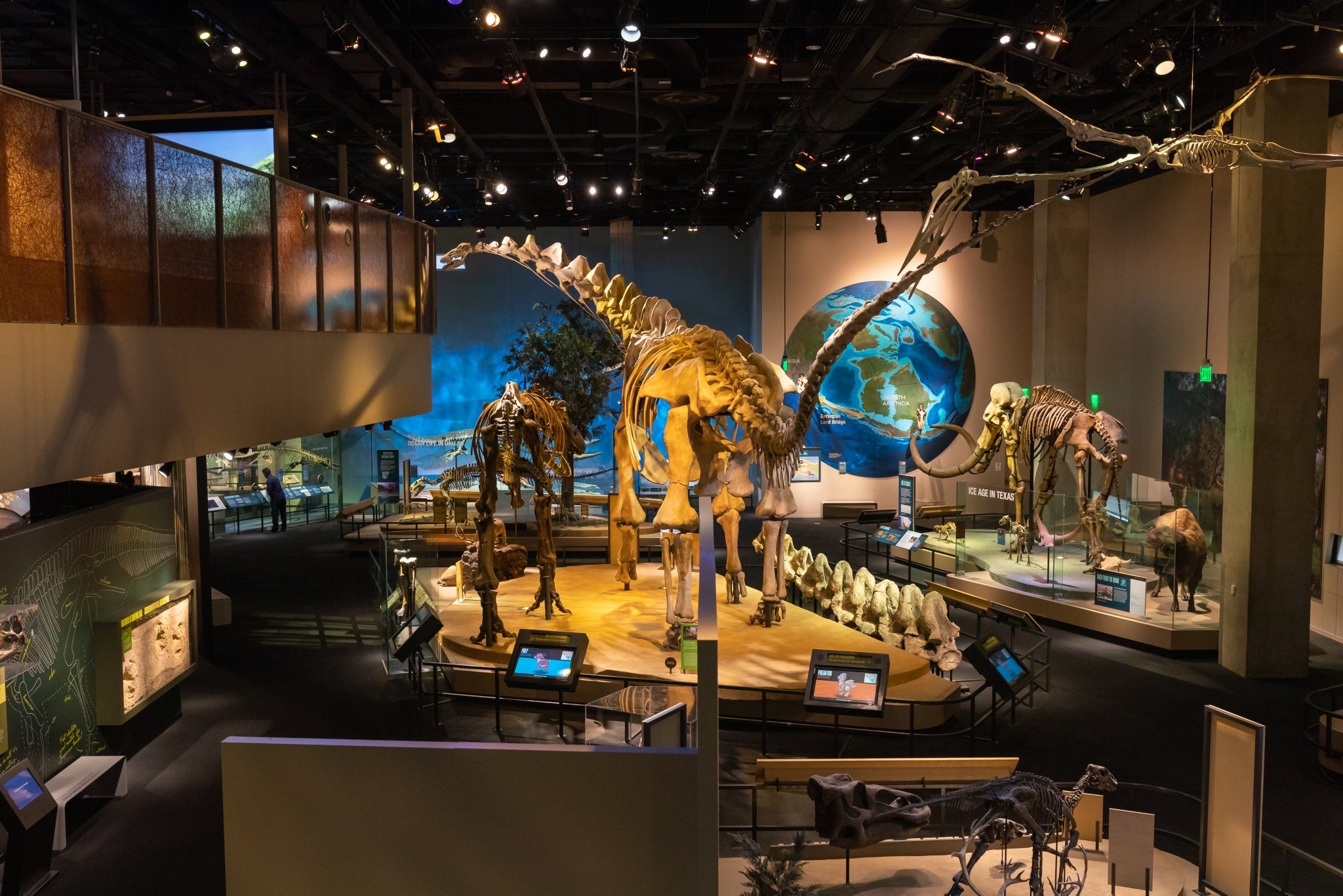 Perot_museum.jpg